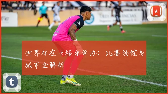 世界杯在卡塔尔举办：比赛场馆与城市全解析