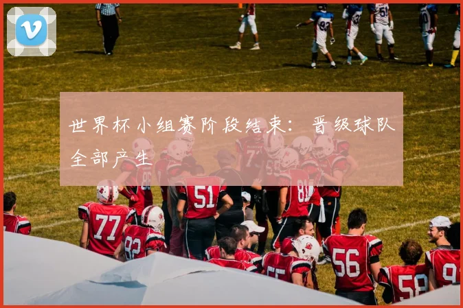 世界杯小组赛阶段结束：晋级球队全部产生