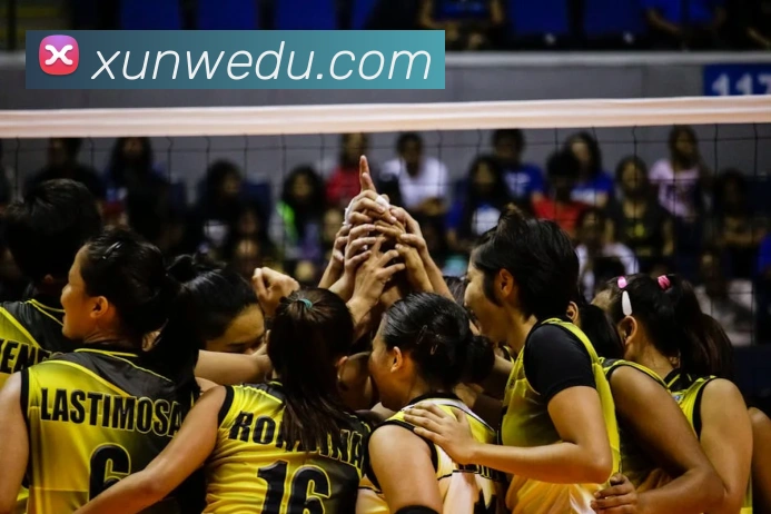 开云账号中心登录入口平台生态图